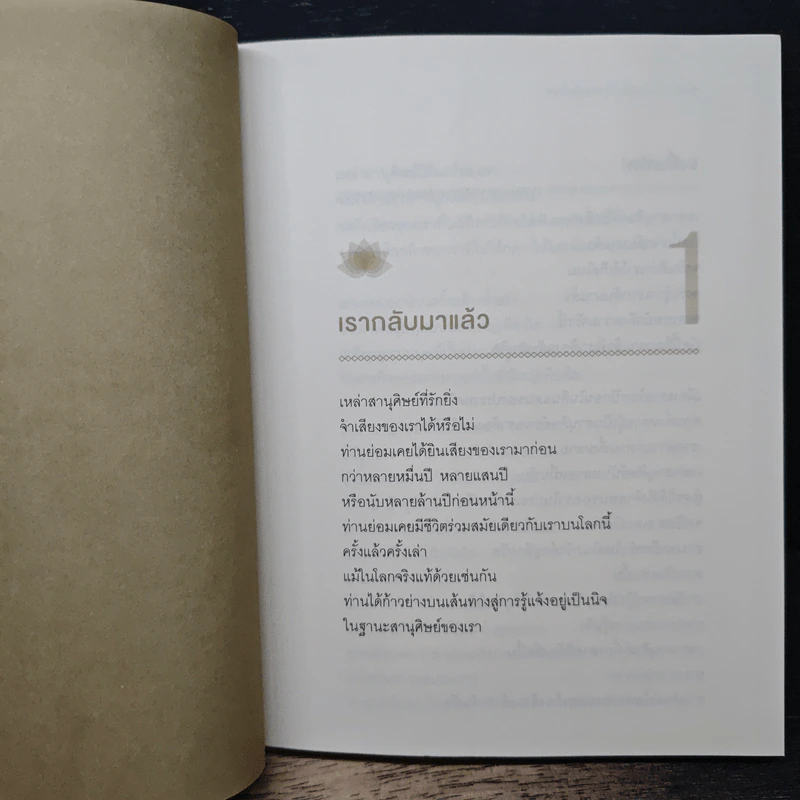 พระพุทรองค์กลับมาแล้ว - ริวโฮ โอคาวา รูปที่ 8