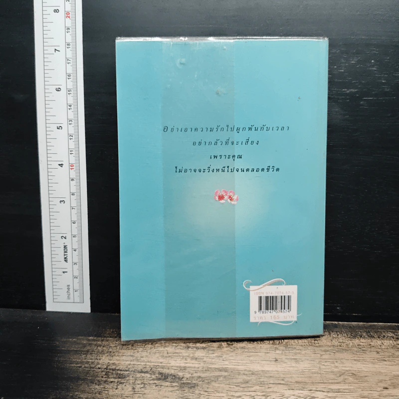 แสงตะวันในสายหมอก - ปิยะพร ศักดิ์เกษม รูปที่ 2