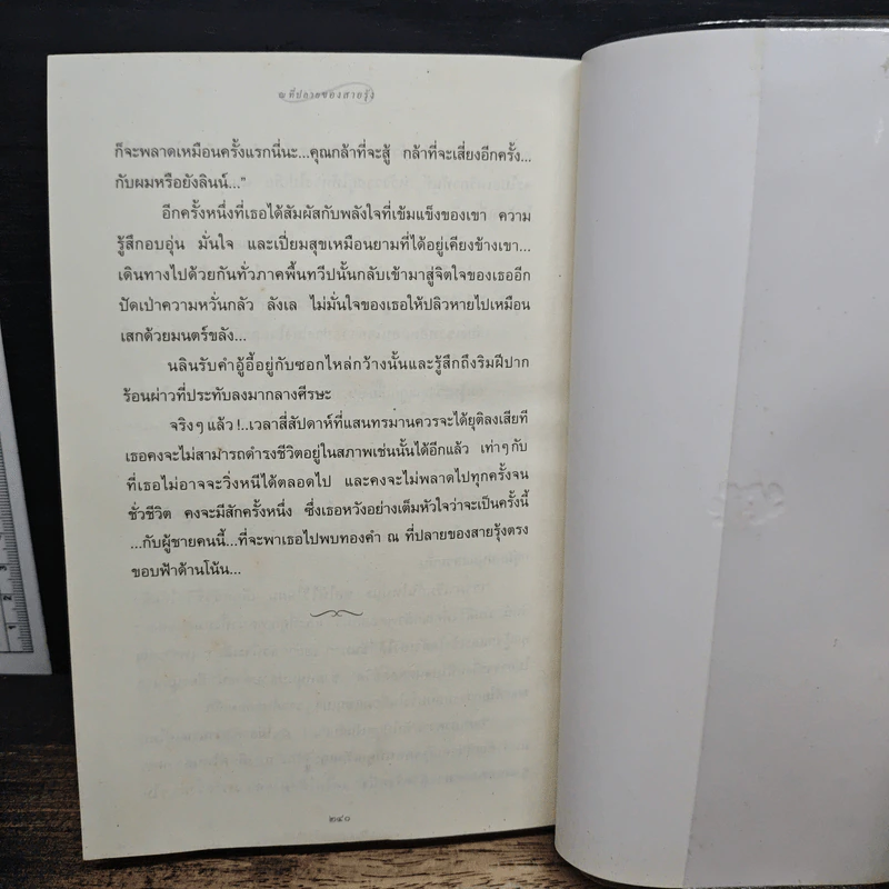แสงตะวันในสายหมอก - ปิยะพร ศักดิ์เกษม รูปที่ 10