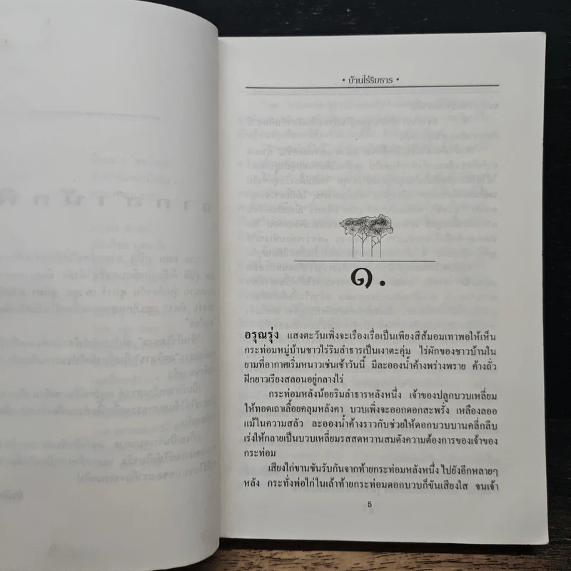 บ้านไร่ริมธาร - แมน สุปิติ รูปที่ 8