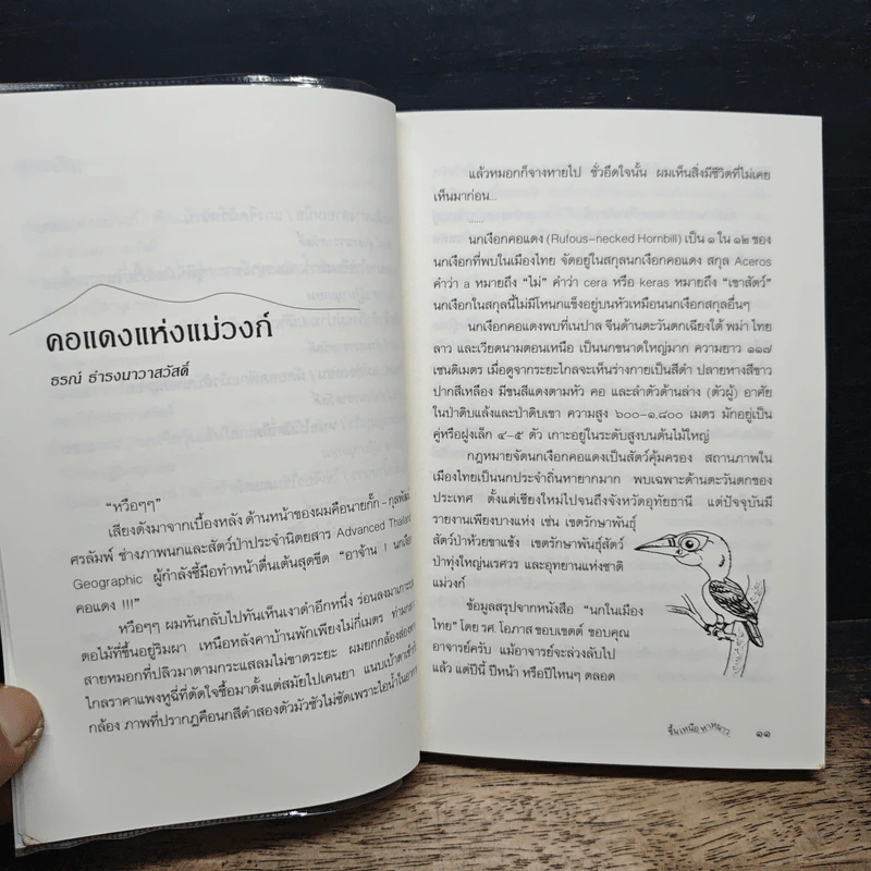 ขึ้นเหนือหาหนาว - ธรณ์ ธำรงนาวาสวัสดิ์ รูปที่ 8