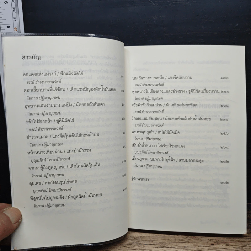ขึ้นเหนือหาหนาว - ธรณ์ ธำรงนาวาสวัสดิ์ รูปที่ 7