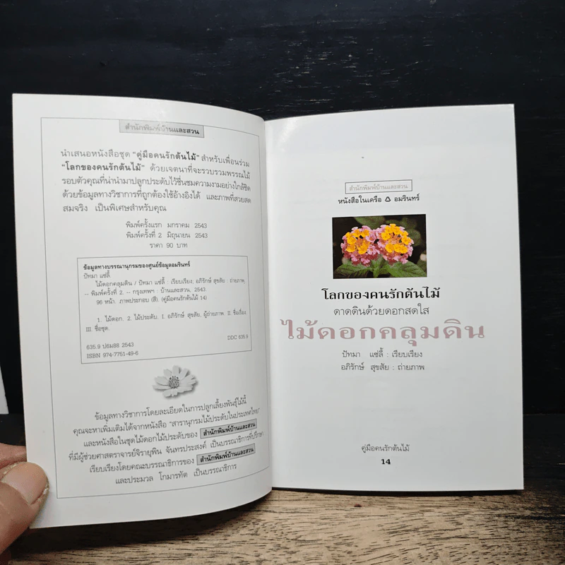 คู่มือคนรักต้นไม้ ไม้ดอกคลุมดิน - ปัทมา แซ่ลี้ รูปที่ 6