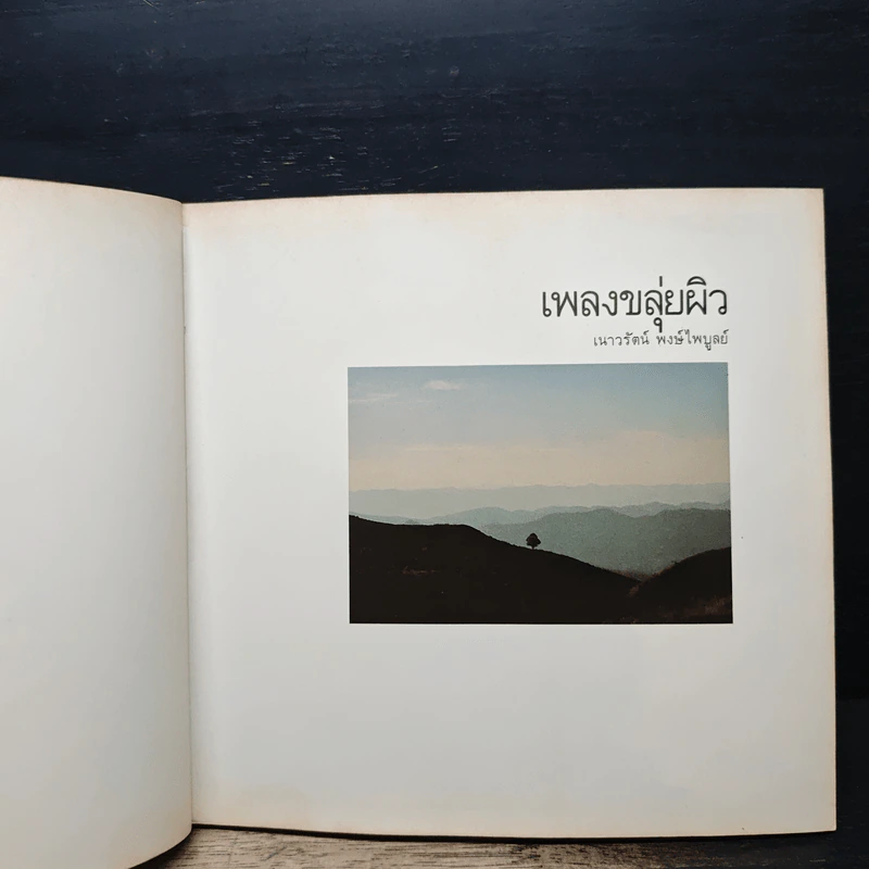 เพลงขลุ่ยผิว - เนาวรัตน์ พงษ์ไพบูลย์ รูปที่ 7
