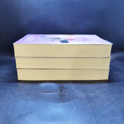 นวนิยายชุด พ่ายรักมาเฟีย 3 เล่มจบ Boxset - มณีจันท์ รูปที่ 7