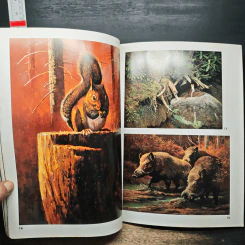 Animal Illustrations รูปที่ 12
