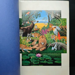 Animal Illustrations รูปที่ 7