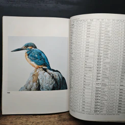 Animal Illustrations รูปที่ 15