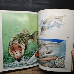 Animal Illustrations รูปที่ 14