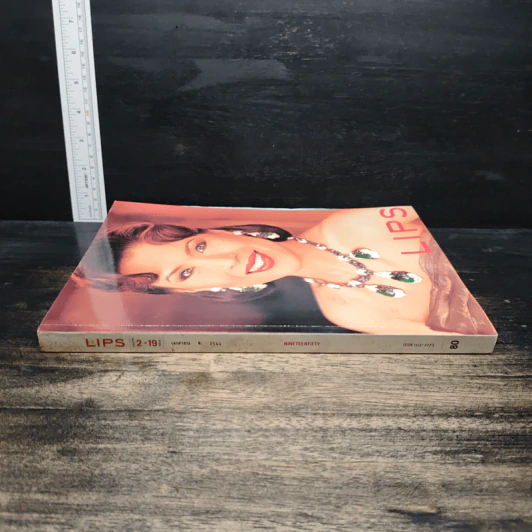 Lips 2/19 เม.ย.2544 รูปที่ 3