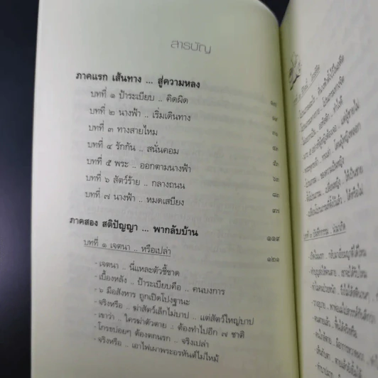 หลงทางบุญ - อ.อัฐฐา รูปที่ 12