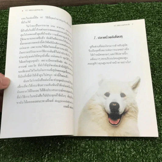 97 วิธีมีความสุขกับหมายิ้ม รูปที่ 8