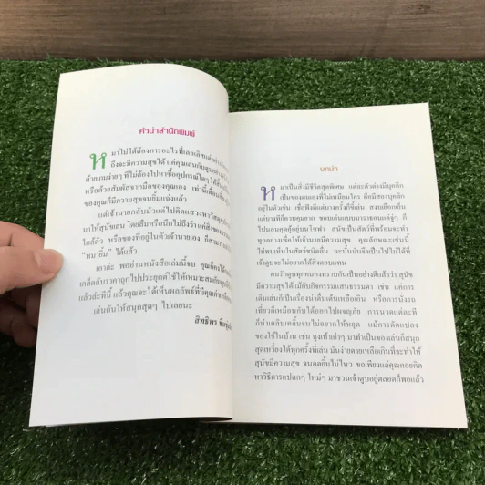 97 วิธีมีความสุขกับหมายิ้ม รูปที่ 7
