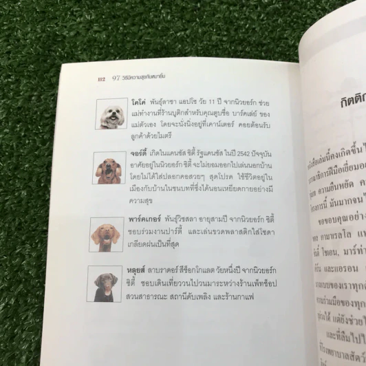 97 วิธีมีความสุขกับหมายิ้ม รูปที่ 11