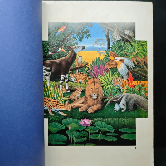 Animal Illustrations รูปที่ 7