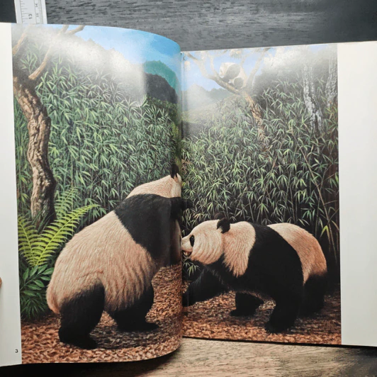Animal Illustrations รูปที่ 9