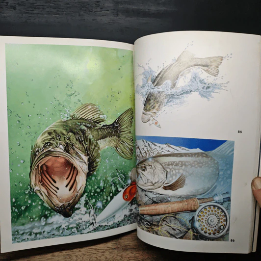 Animal Illustrations รูปที่ 14