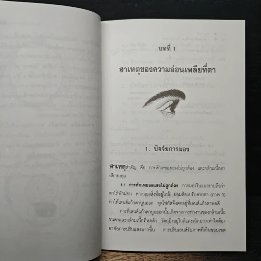 กดจุดรักษาโรคเกี่ยวกับตา - สิตางศ์ุ รูปที่ 8