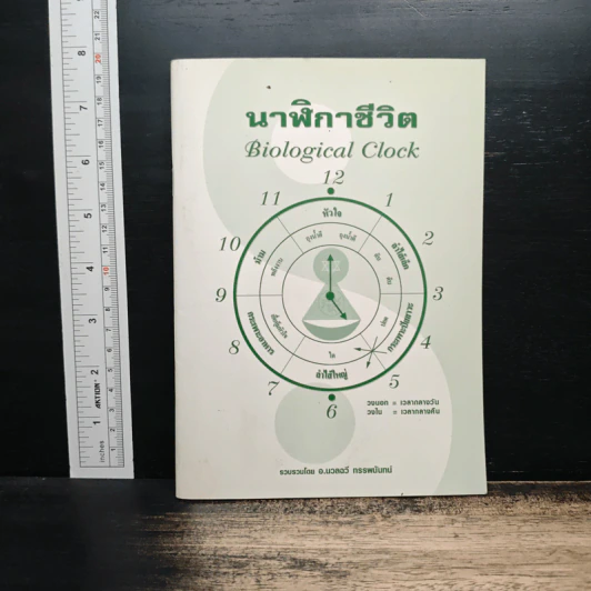 นาฬิกาชีวิต Biological Clock - อ.นวลฉวี ทรรพนันทน์ รูปที่ 1