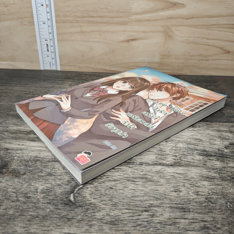 Puppy Love ปิ๊งรักครั้งนี้ขอรีเควสต์หัวใจยัยจุมม่า - ปุยฝ้าย รูปที่ 3
