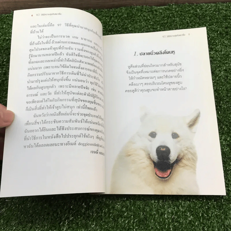 97 วิธีมีความสุขกับหมายิ้ม รูปที่ 8