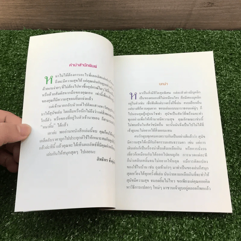 97 วิธีมีความสุขกับหมายิ้ม รูปที่ 7