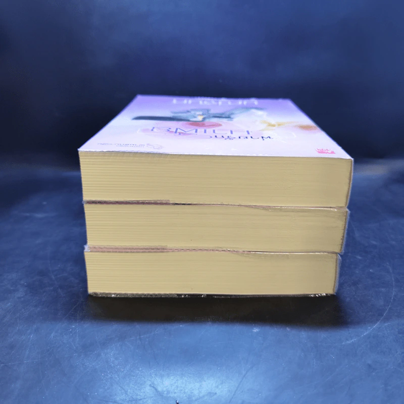 นวนิยายชุด พ่ายรักมาเฟีย 3 เล่มจบ Boxset - มณีจันท์ รูปที่ 8