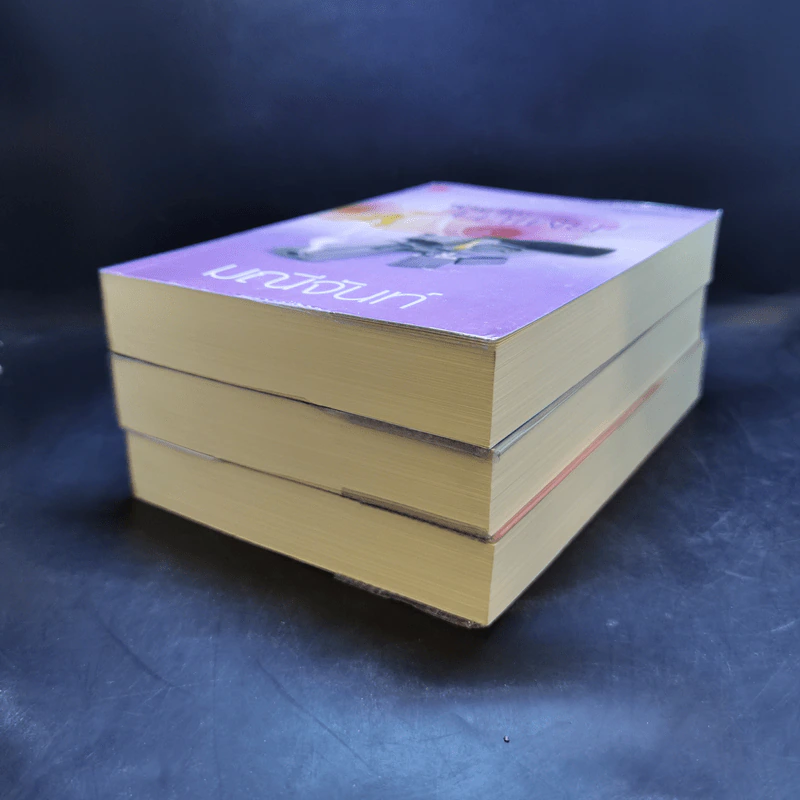 นวนิยายชุด พ่ายรักมาเฟีย 3 เล่มจบ Boxset - มณีจันท์ รูปที่ 9