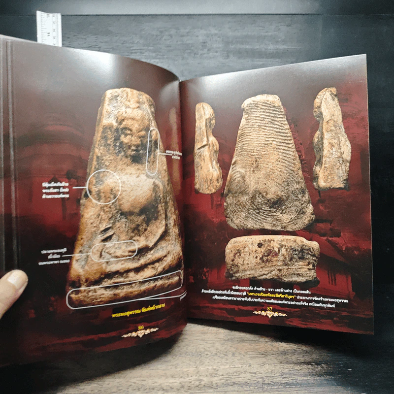 อมตะพระกรุวัดพระศรีรัตนมหาธาตุสุพรรณบุรี รูปที่ 13
