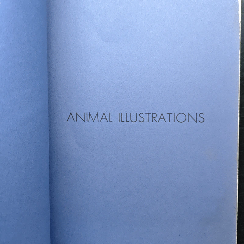 Animal Illustrations รูปที่ 2