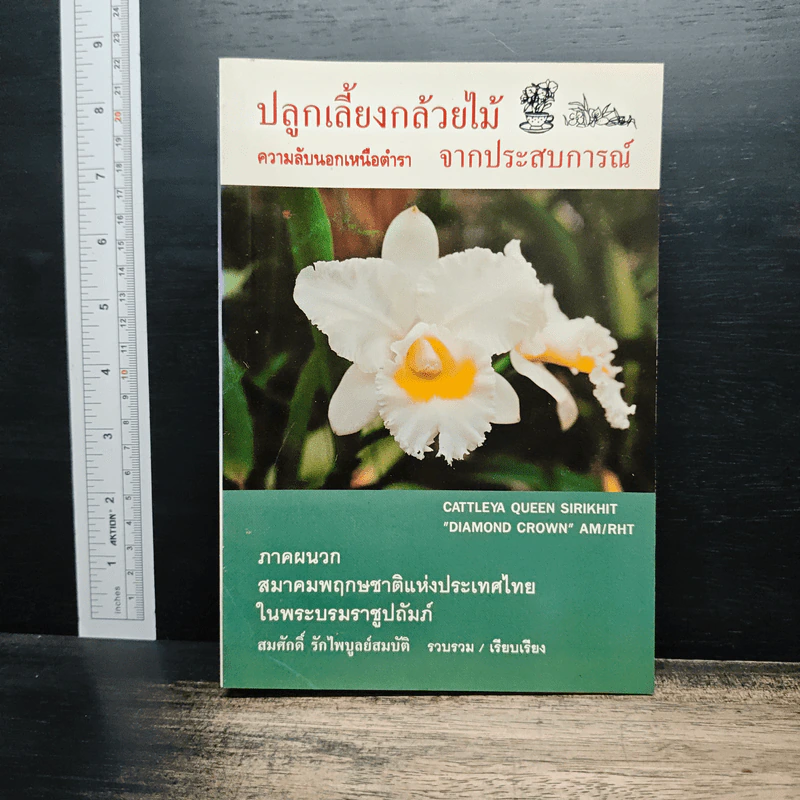ปลูกเลี้ยงกล้วยไม้จากประสบการณ์ - สมศักดิ์ รักไพบูลย์สมบัติ รูปที่ 1