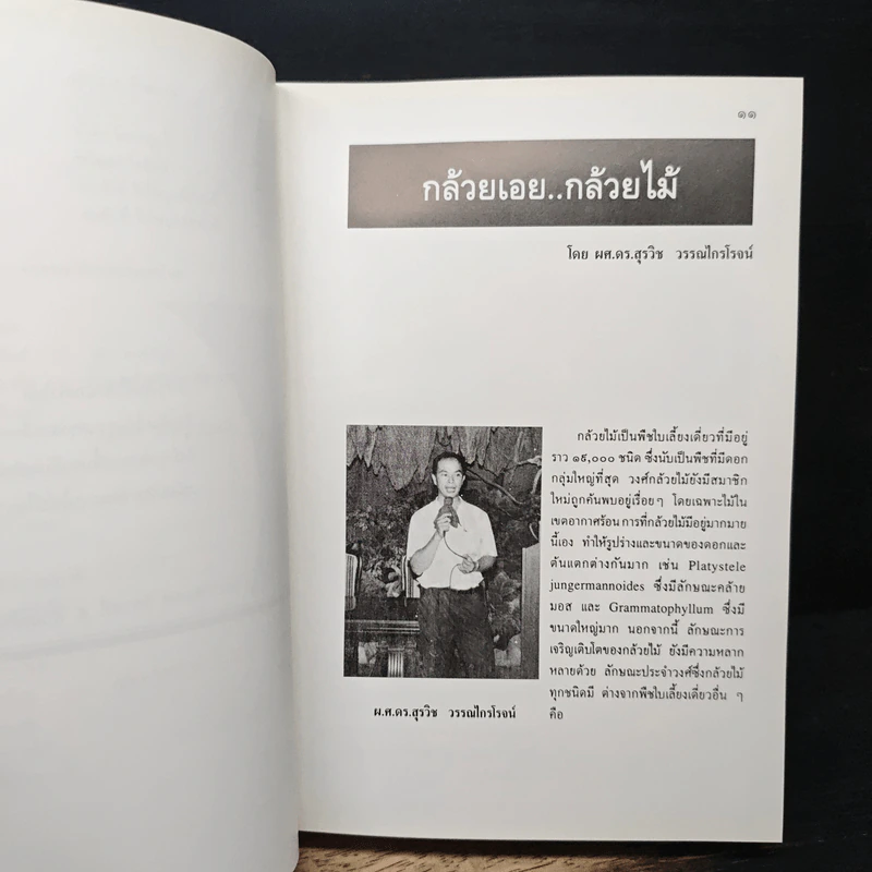 ปลูกเลี้ยงกล้วยไม้จากประสบการณ์ - สมศักดิ์ รักไพบูลย์สมบัติ รูปที่ 9