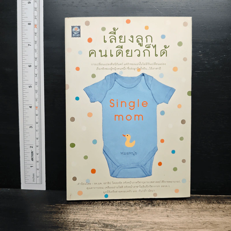 เลี้ยงลูกคนเดียวก็ได้ - หมอหนุ่ย รูปที่ 1