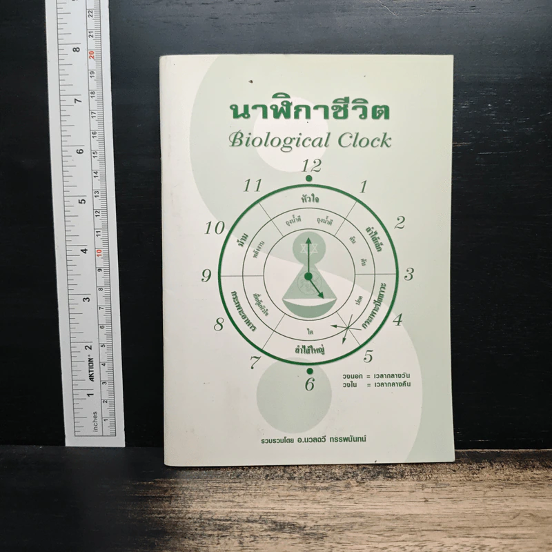 นาฬิกาชีวิต Biological Clock - อ.นวลฉวี ทรรพนันทน์ รูปที่ 1