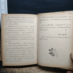พระประวัติ พลเรือเอก พระเจ้าบรมวงศ์เธอ กรมหลวงชุมพรเขตรอุดมศักดิ์ รูปที่ 18