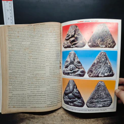 มหาโพธิ์พิเศษ หลวงปู่ศุข วัดปากคลองมะขามเฒ่า รูปที่ 10