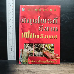 สมุนไพรดีอีสาน เพิ่มพลังเพศ - ภาณุทรรศน์