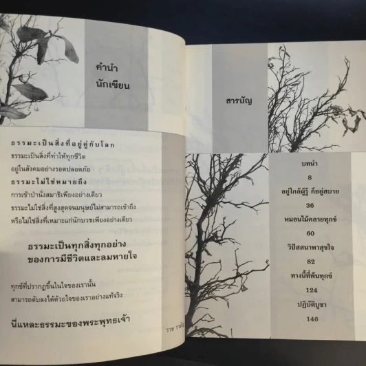 ทุกข์ดับได้ด้วยใจเรา - ราช รามัญ รูปที่ 9