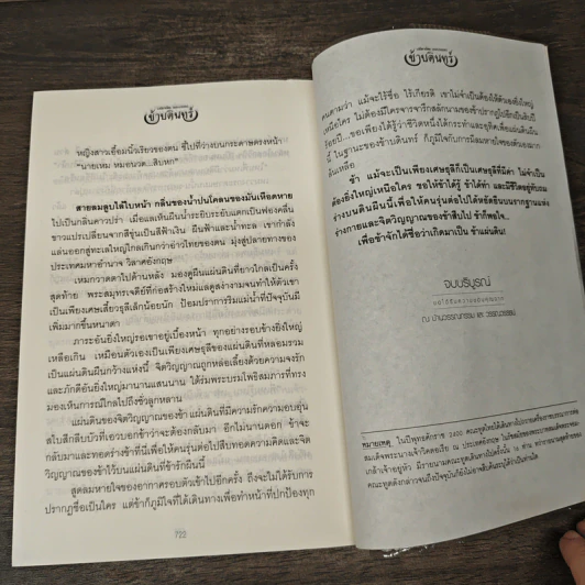 ข้าบดินทร์ 2 เล่มจบ - วรรณวรรธน์ รูปที่ 10
