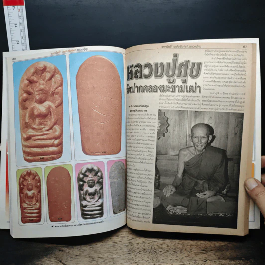 มหาโพธิ์พิเศษ หลวงปู่ศุข วัดปากคลองมะขามเฒ่า รูปที่ 9
