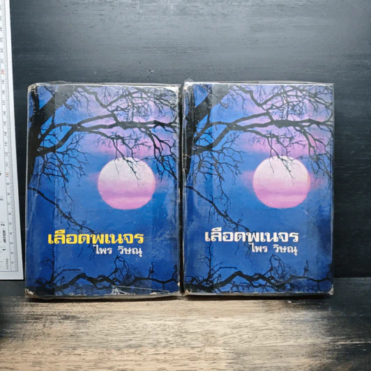 เลือดพเนจร 2 เล่มจบ รูปที่ 1