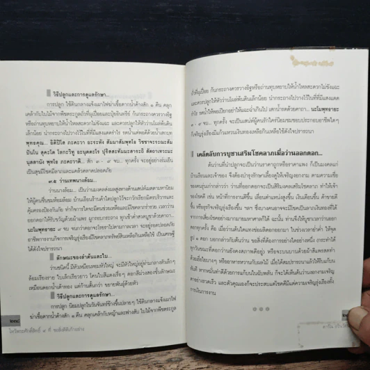 เคล็ดลับการเสริมดวงให้ดี เปิดตำนาน 7 ยอดนักพยากรณ์ รูปที่ 9