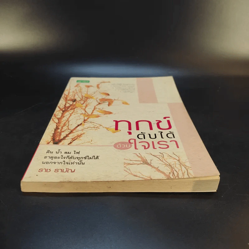 ทุกข์ดับได้ด้วยใจเรา - ราช รามัญ รูปที่ 4