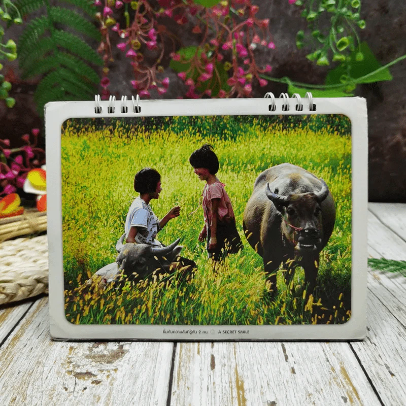ปฏิทินยิ้มสยาม 2554 รูปที่ 2