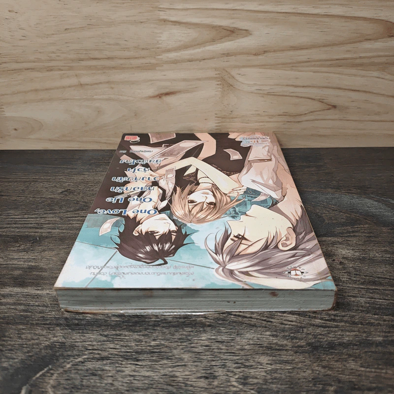 One Love, One Lie หลอกรักวางกับดักหัวใจยัยตัวโกง - เจ้าหญิงผู้เลอโฉม รูปที่ 4