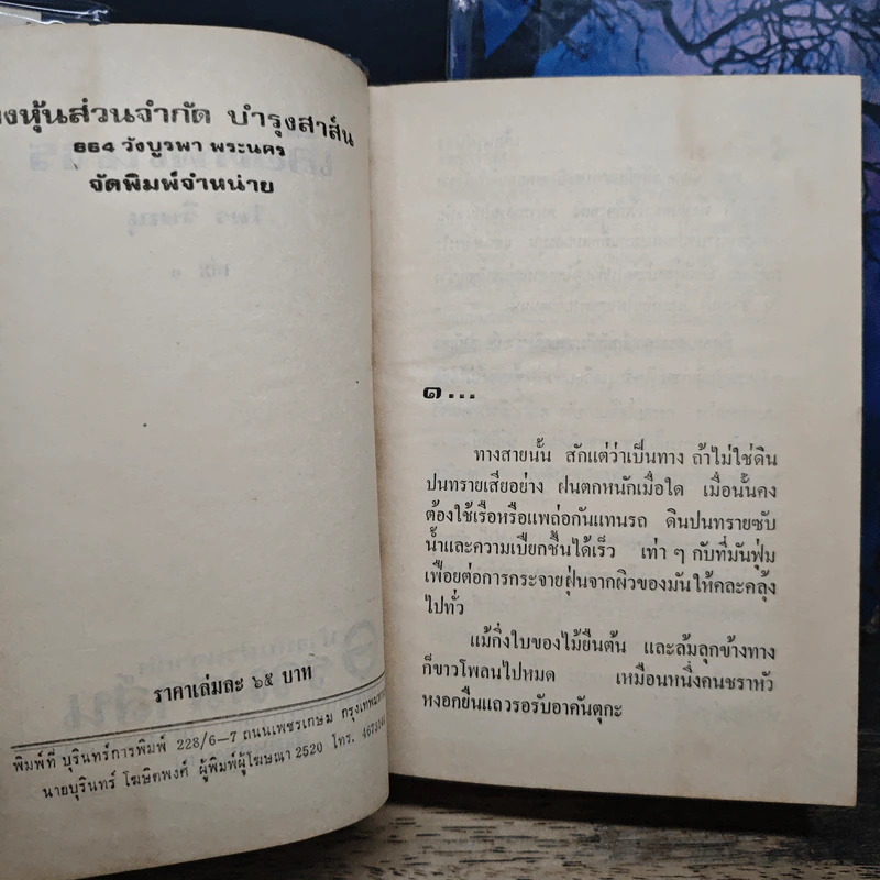เลือดพเนจร 2 เล่มจบ รูปที่ 6