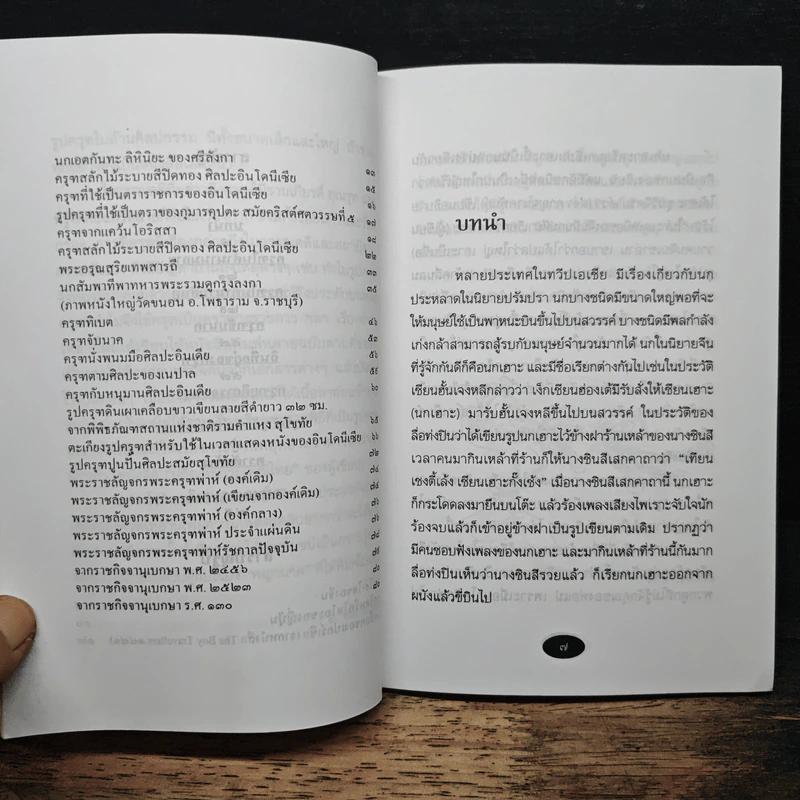 พญาครุฑ พาหนะแห่งพระเป็นเจ้า - ส.พลายน้อย รูปที่ 8