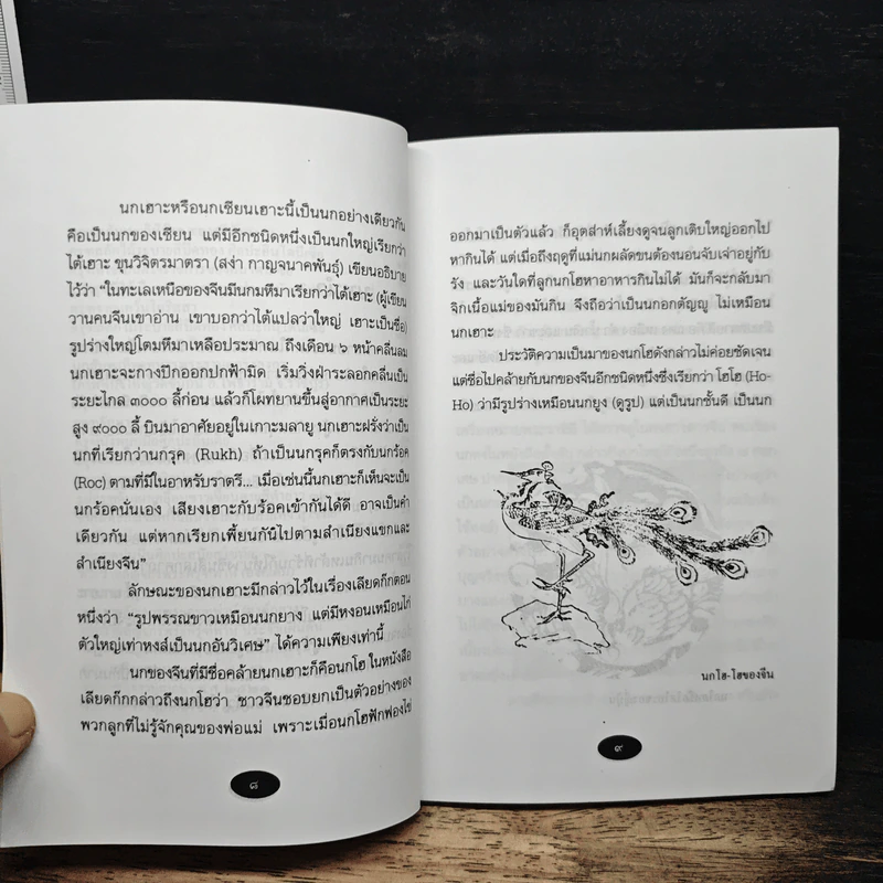 พญาครุฑ พาหนะแห่งพระเป็นเจ้า - ส.พลายน้อย รูปที่ 9