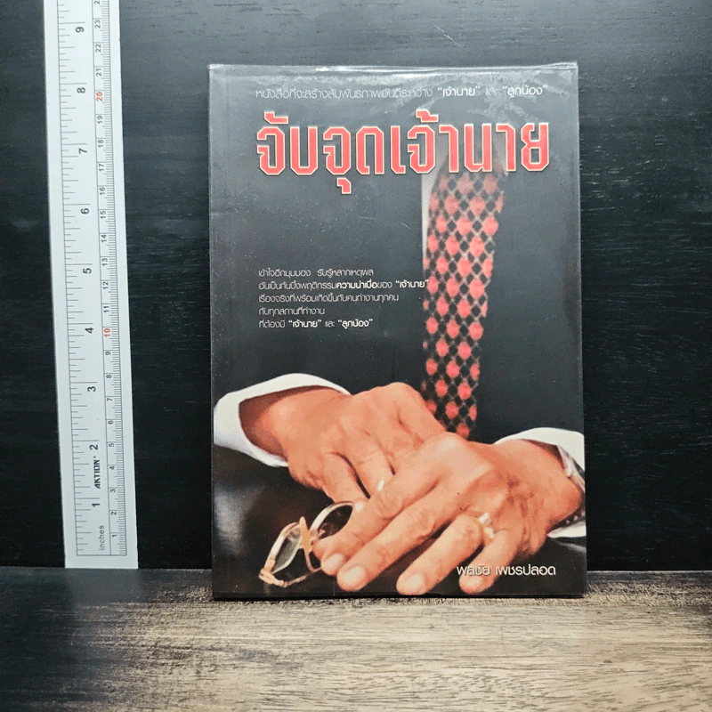 จับจุดเจ้านาย - พลชัย เพชรปลอด รูปที่ 1