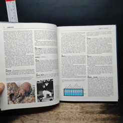 Grolier Family Encyclopedia รูปที่ 8